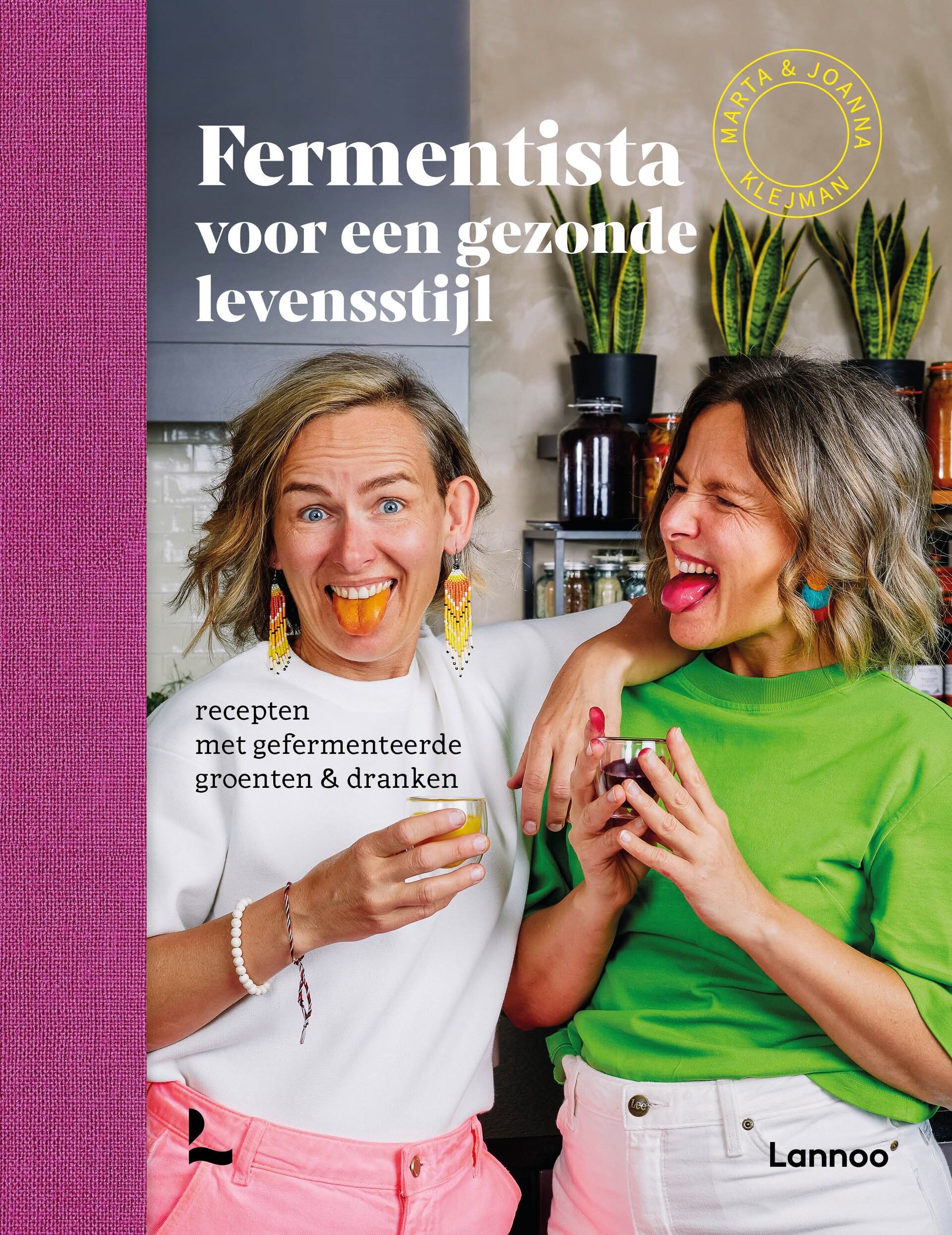 Nieuw Boek Fermentista voor een gezond levenstijl_kopen (2)